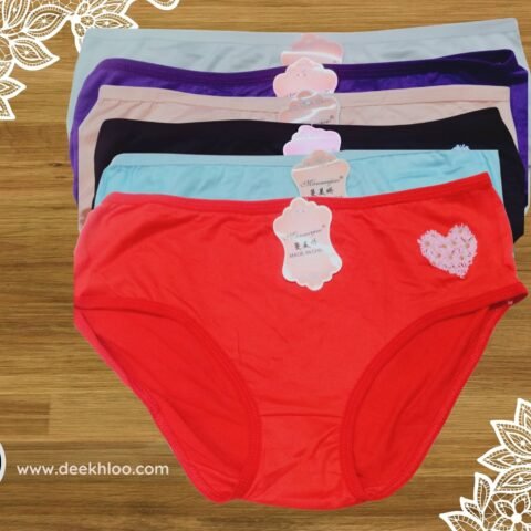 Brief Bliss Panties 100